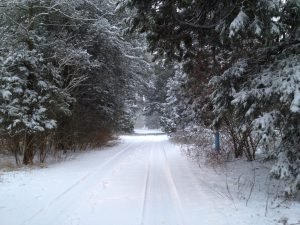 Winter Roads: Holiday Travel